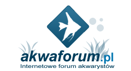 Logotyp akwaforum.pl